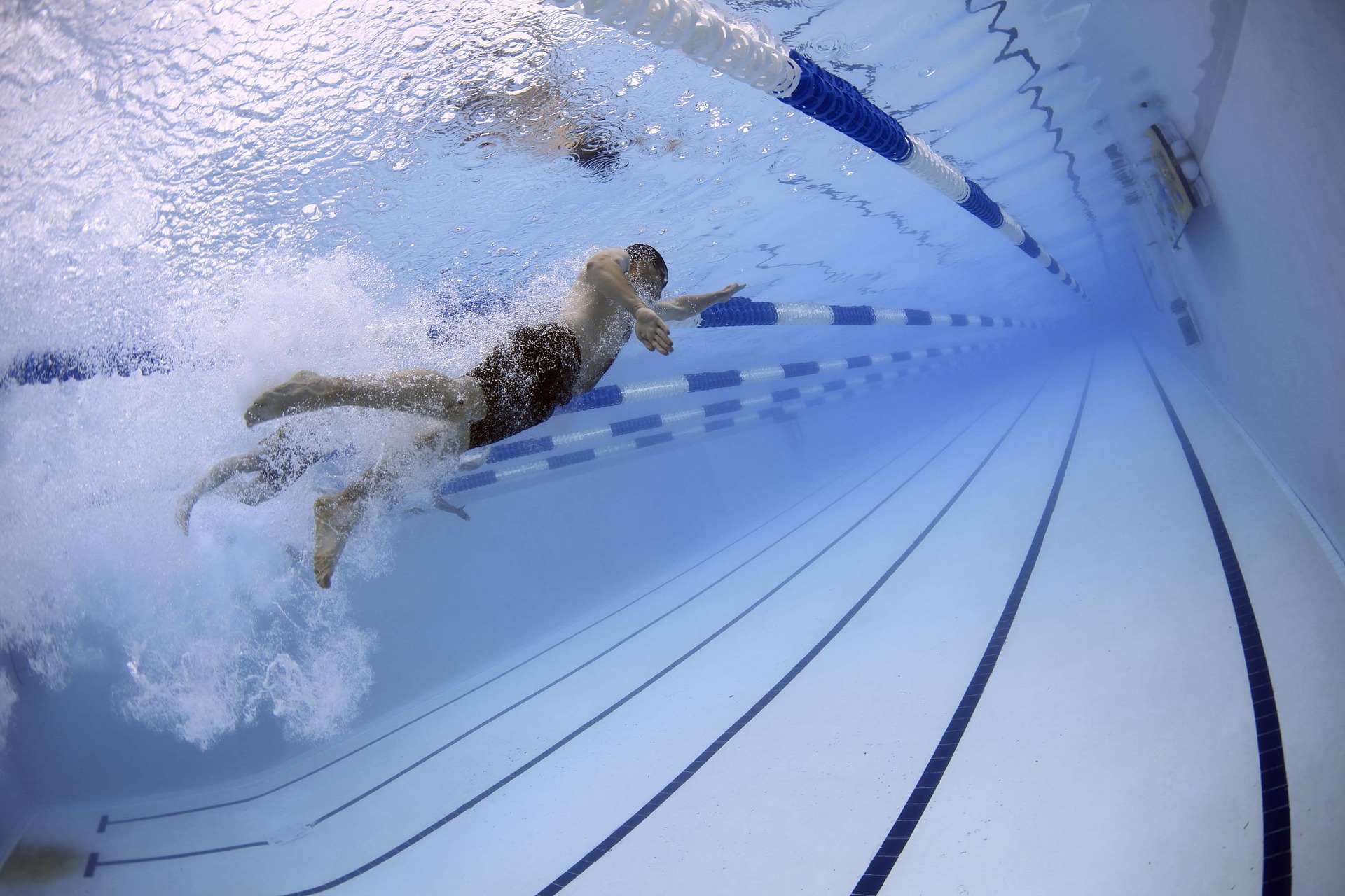 Nageur dans une piscine olympique